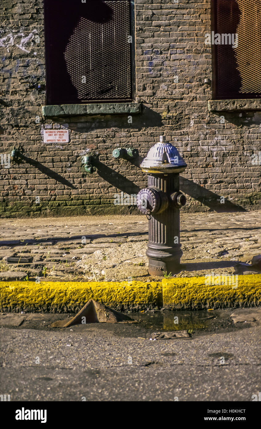 Poteau incendie on sidewalk Banque D'Images
