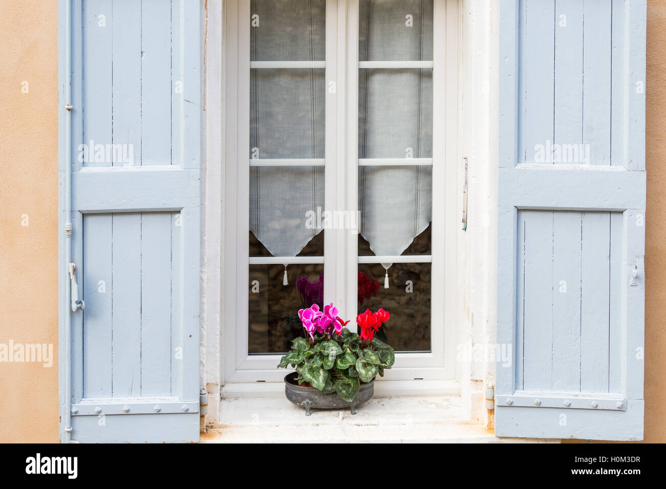 Cyclamen en pot sur le rebord de fenêtre avec des volets bleu pâle, Menerbes, Provence, France Banque D'Images