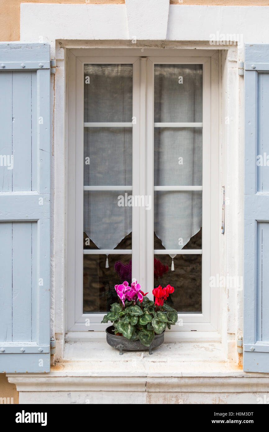 Cyclamen en pot sur le rebord de fenêtre avec des volets bleu pâle, Bonnieux, Provence, France Banque D'Images