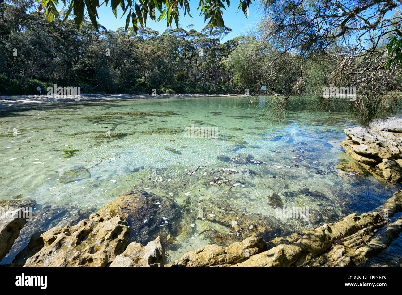Vue panoramique de Honeymoon Bay, Beecroft, Jervis Bay, New South Wales, NSW, Australie Banque D'Images