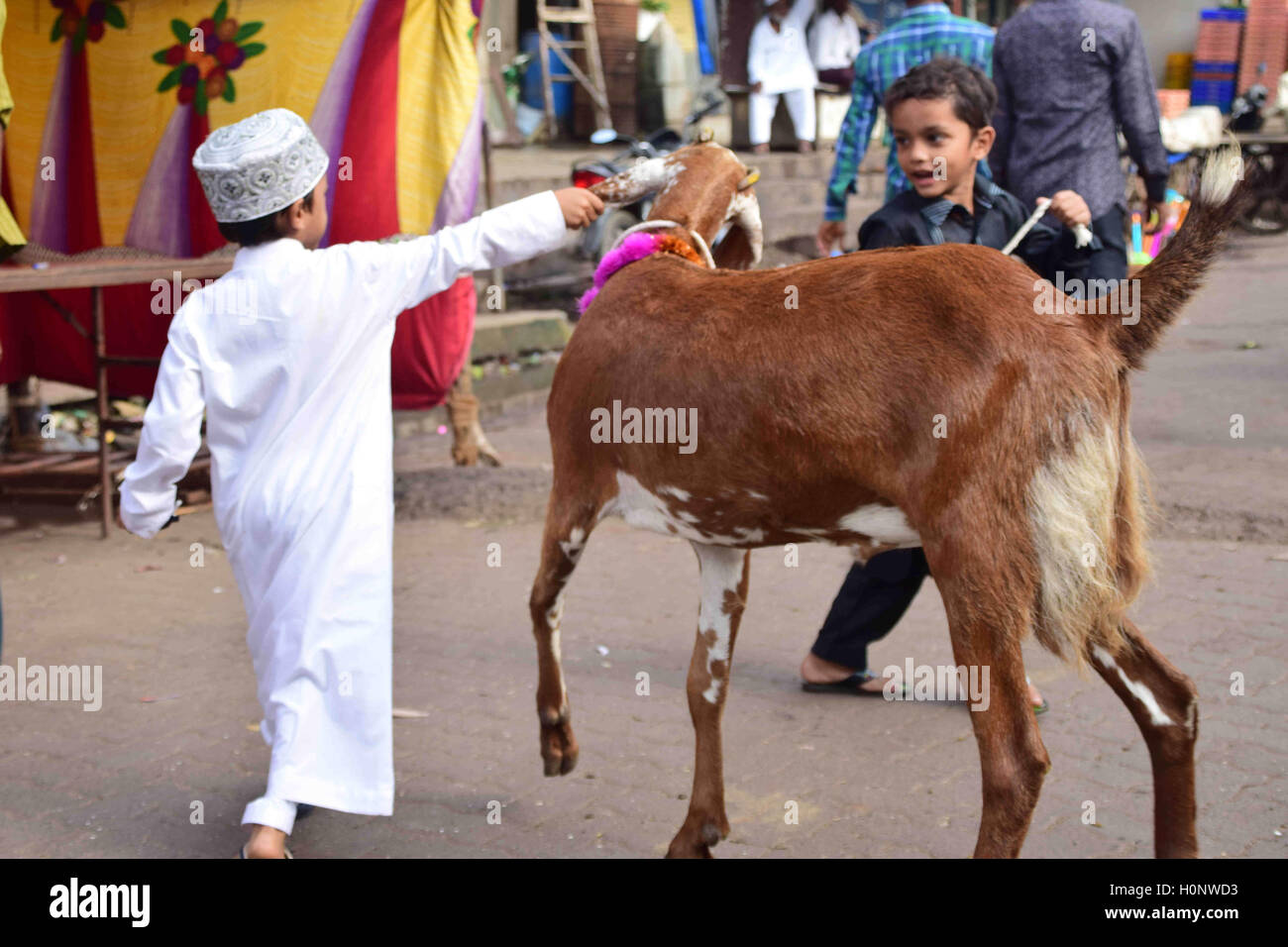 Les garçons musulmans jouer chèvre sacrificielle après avoir offert la prière alors qu'il célèbre l'Aïd al-Adha mosquée Bilal sacrifice festival Mumbai Banque D'Images