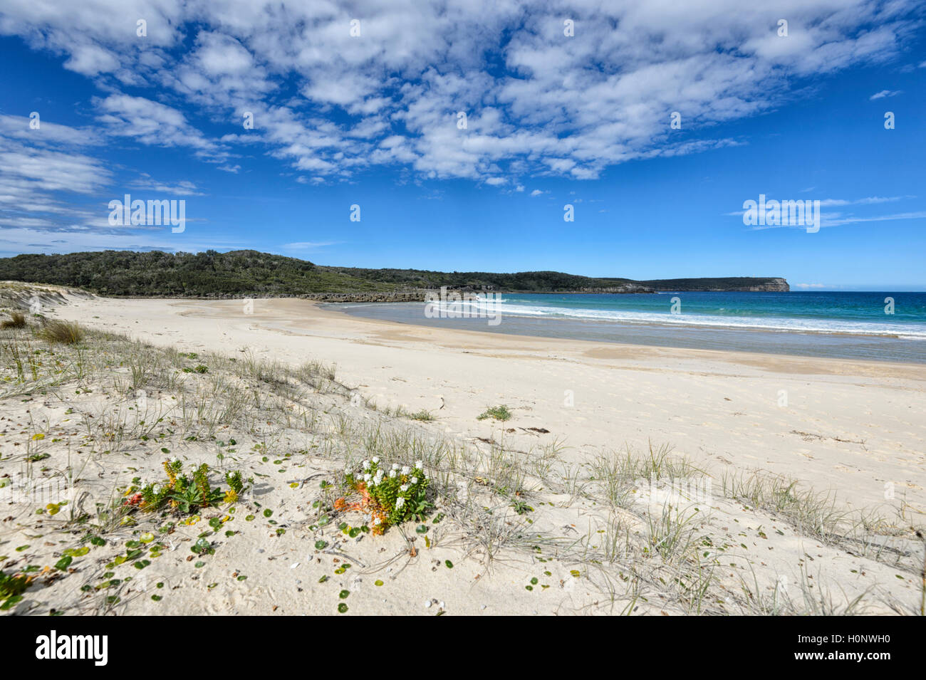 Plage cible, Beecroft, Jervis Bay, New South Wales, NSW, Australie Banque D'Images