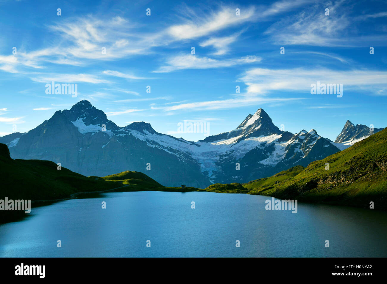 Lac de Bachalp, Wetterhorn, Schreckhorn, Finsteraarhorn et Premier, Grindelwald, Canton de Berne, Suisse Banque D'Images