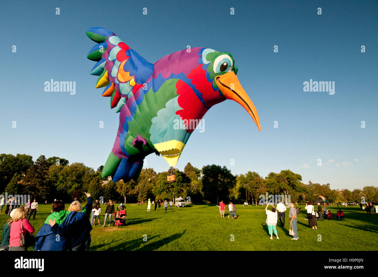 En forme de Colibri hot air balloon lancement à 'l'esprit de Boise Balloon Classic 2016" à Boise, Idaho, États-Unis Banque D'Images