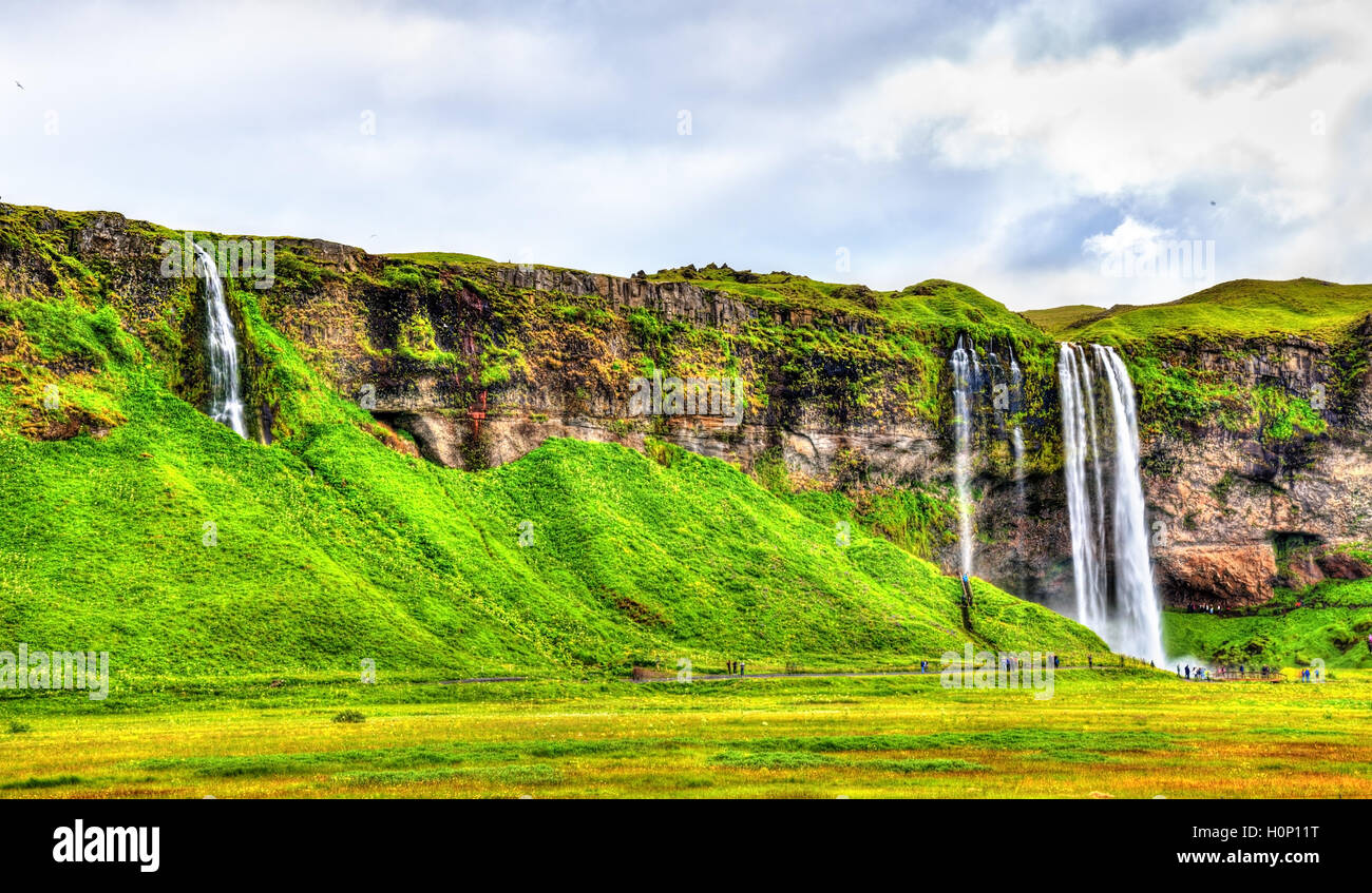 Vue de la cascade de Seljalandsfoss - Islande Banque D'Images
