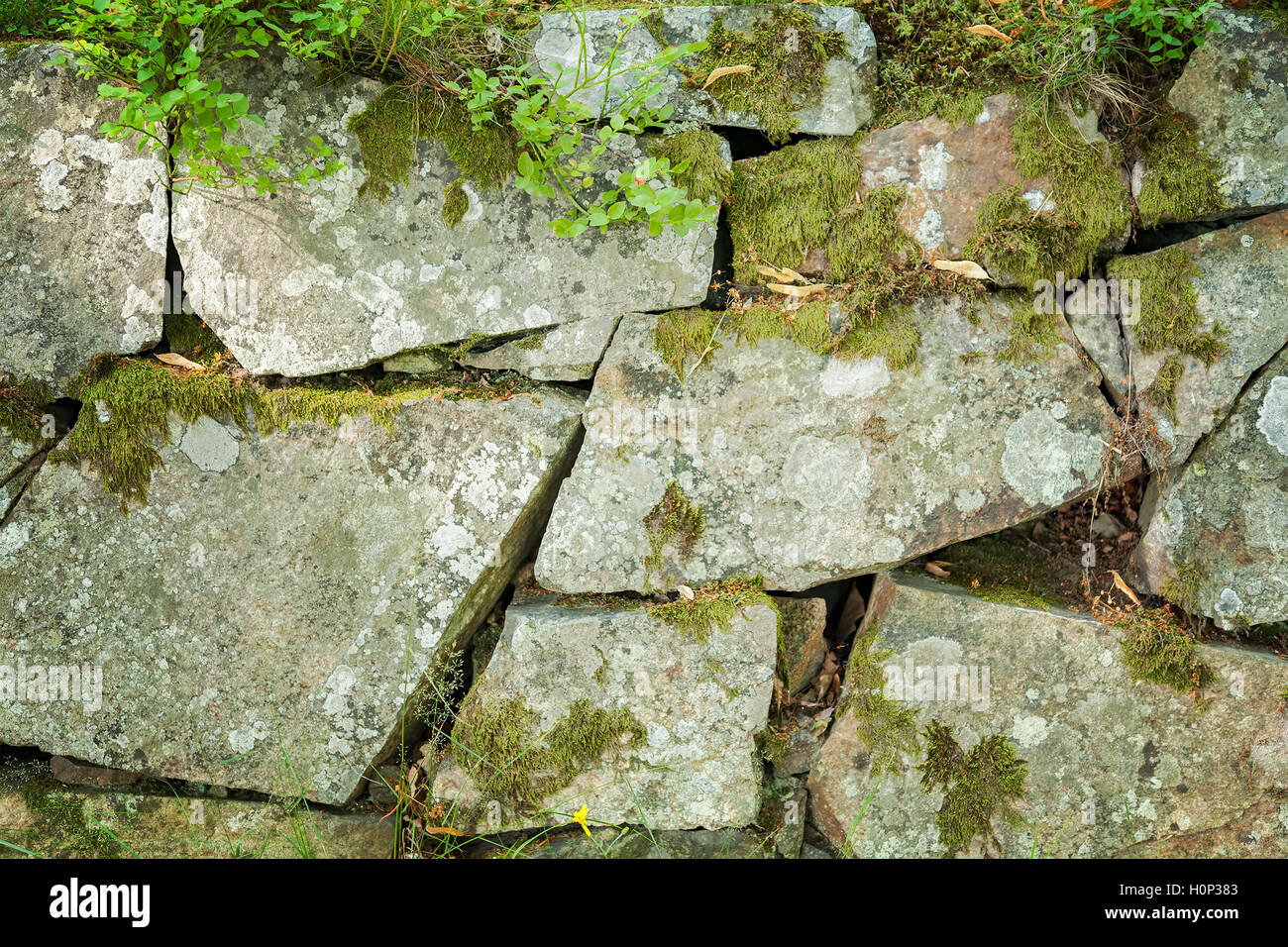 Image de mur en pierres naturelles en toile de fond. Banque D'Images