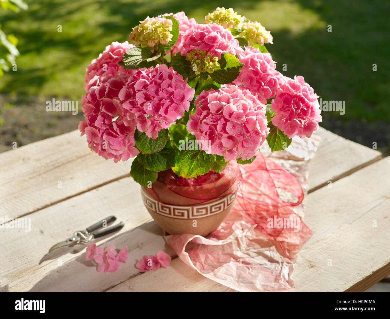 Bouquet de fleurs Banque D'Images