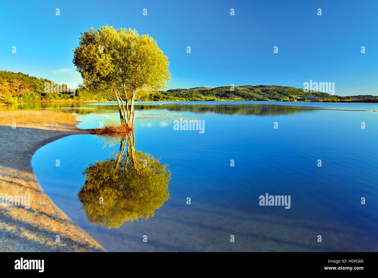 Portugal : vue sur le lac pittoresque avec des arbres se reflétant dans l'eau. Banque D'Images