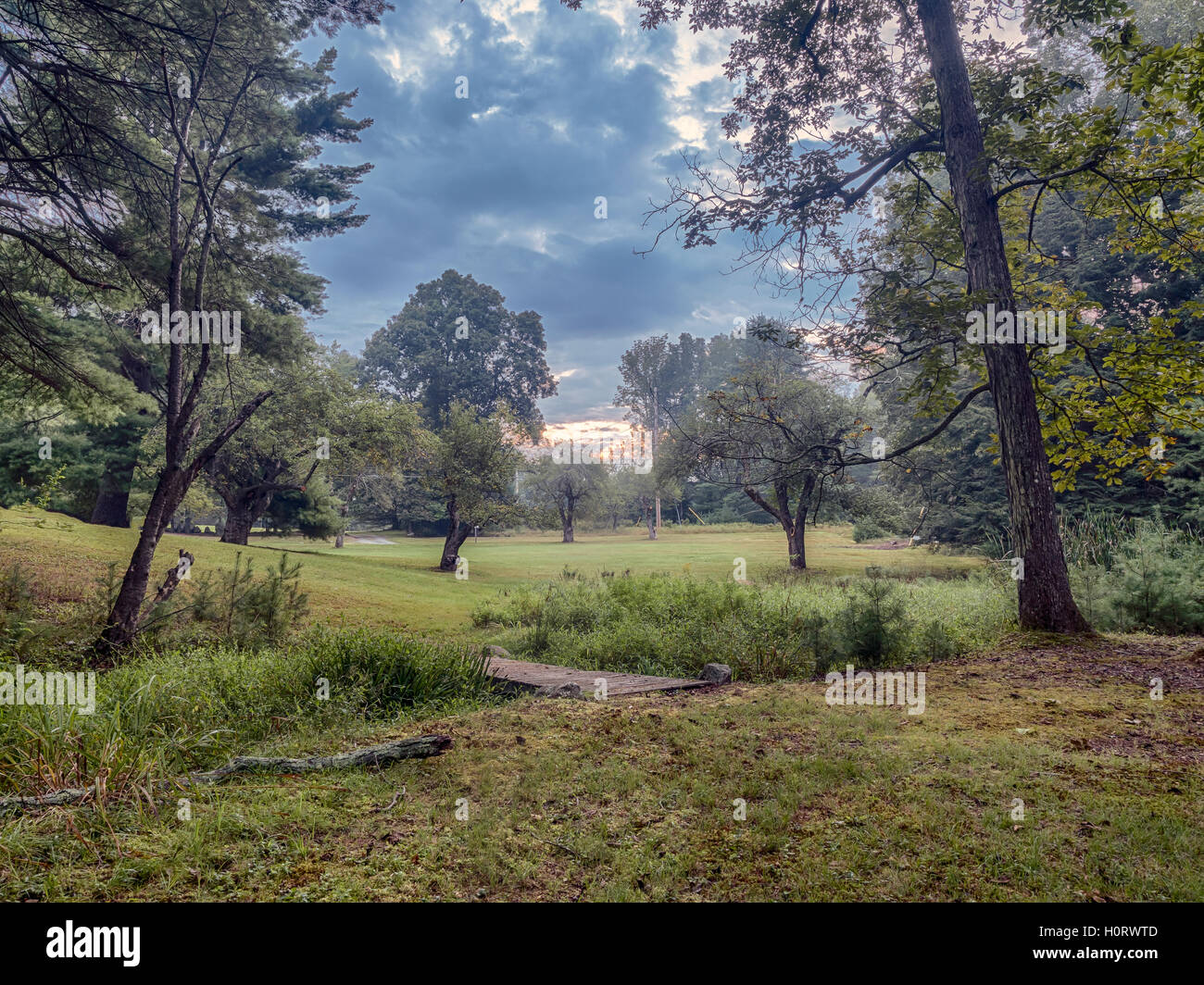 Voir dans la campagne de Sullivan County New York State en été Banque D'Images