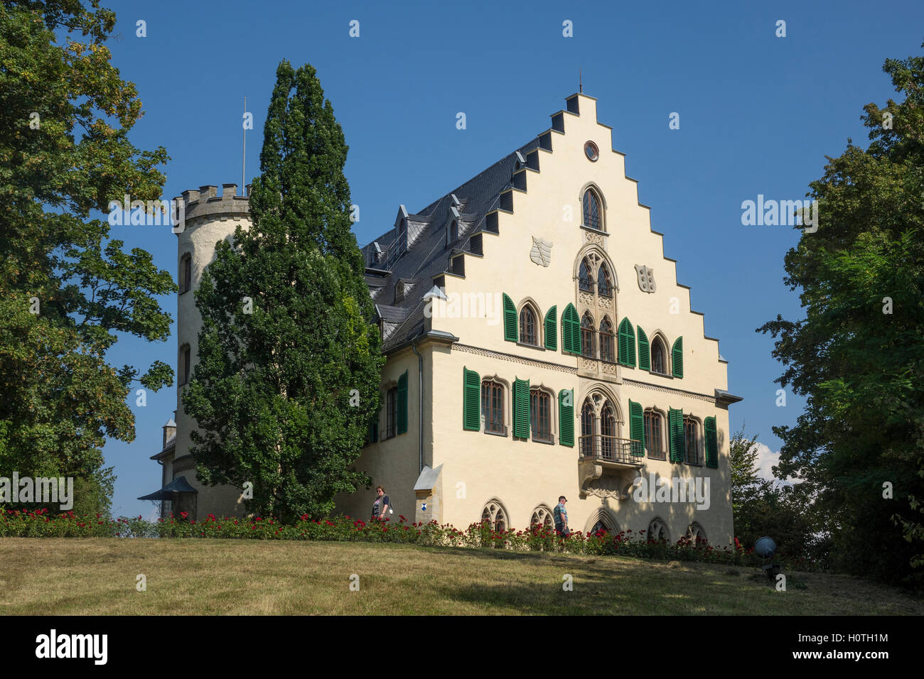 Allemagne, Bavière, guanaco, Rosenau palace Banque D'Images