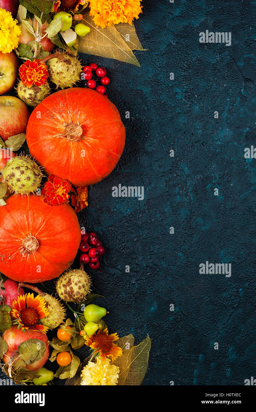 Ensemble de fleurs d'automne, des fruits et légumes sur la texture background top view with copy space Banque D'Images