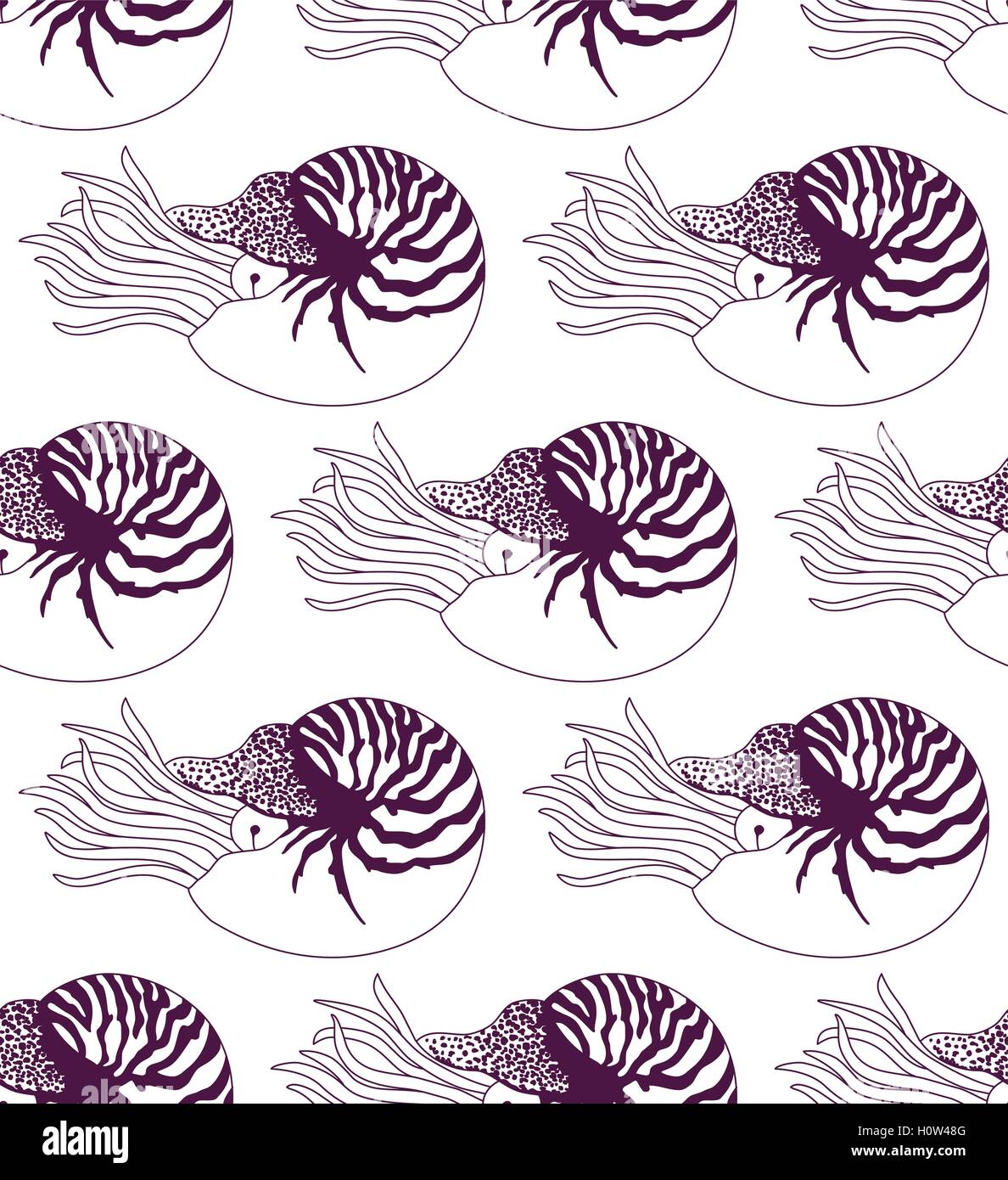 Motif transparente de Nautilus pompilius Illustration de Vecteur