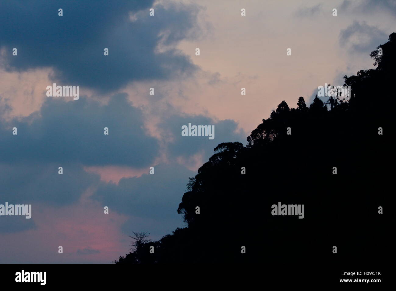 Silhouette d'une montagne avec des arbres avec un ciel rose. Banque D'Images
