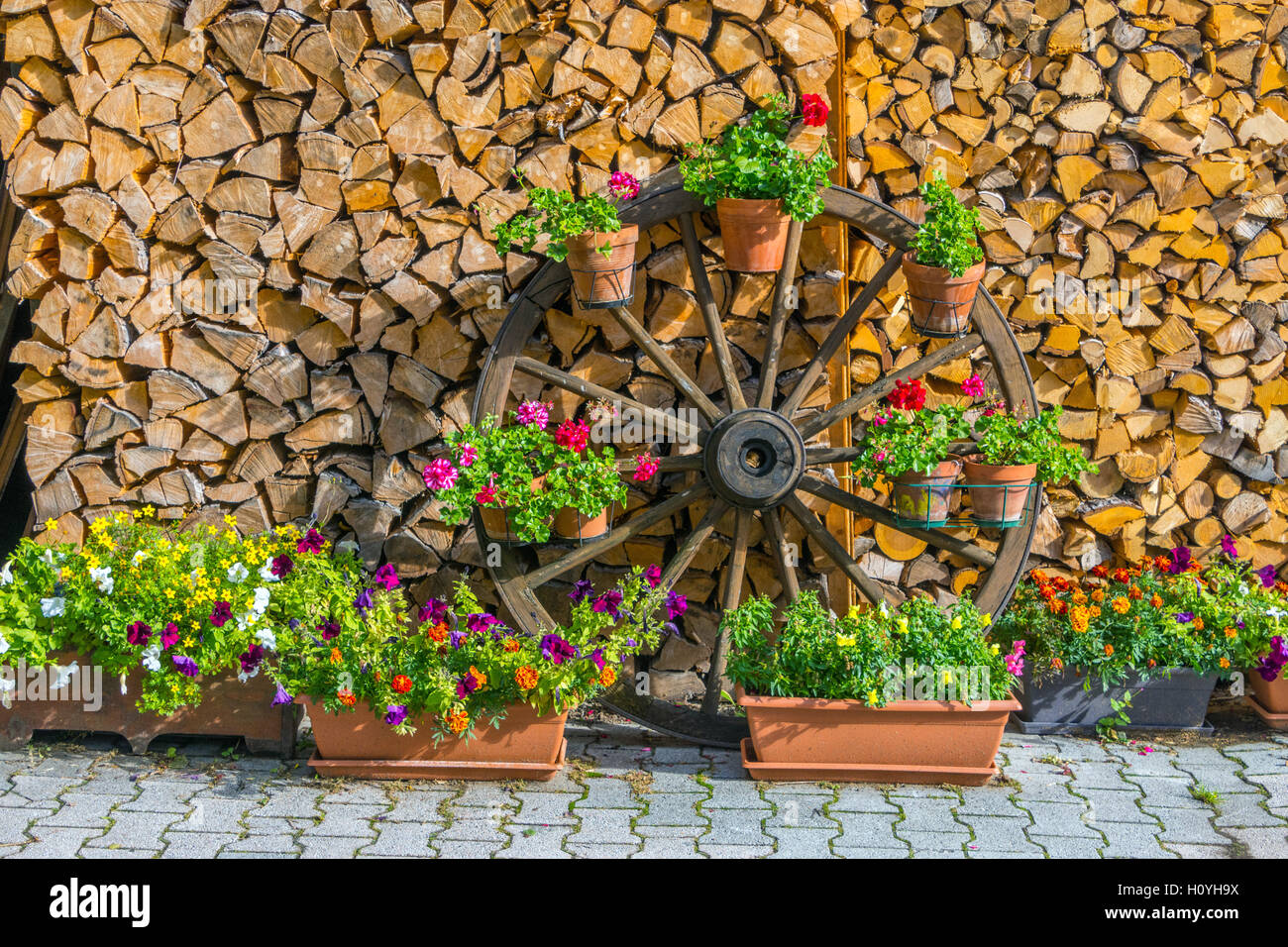 Pile de grumes de chauffage en hiver et panier roue, roue de chariot, de géraniums (fleurs) Banque D'Images