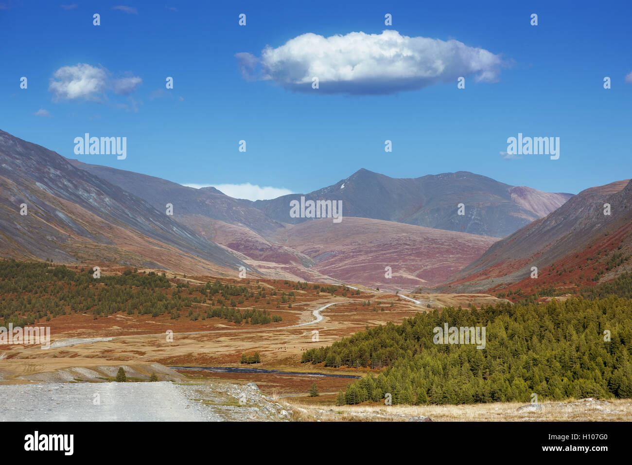 Sur la Mountais blue cloudy sky. Altay Banque D'Images
