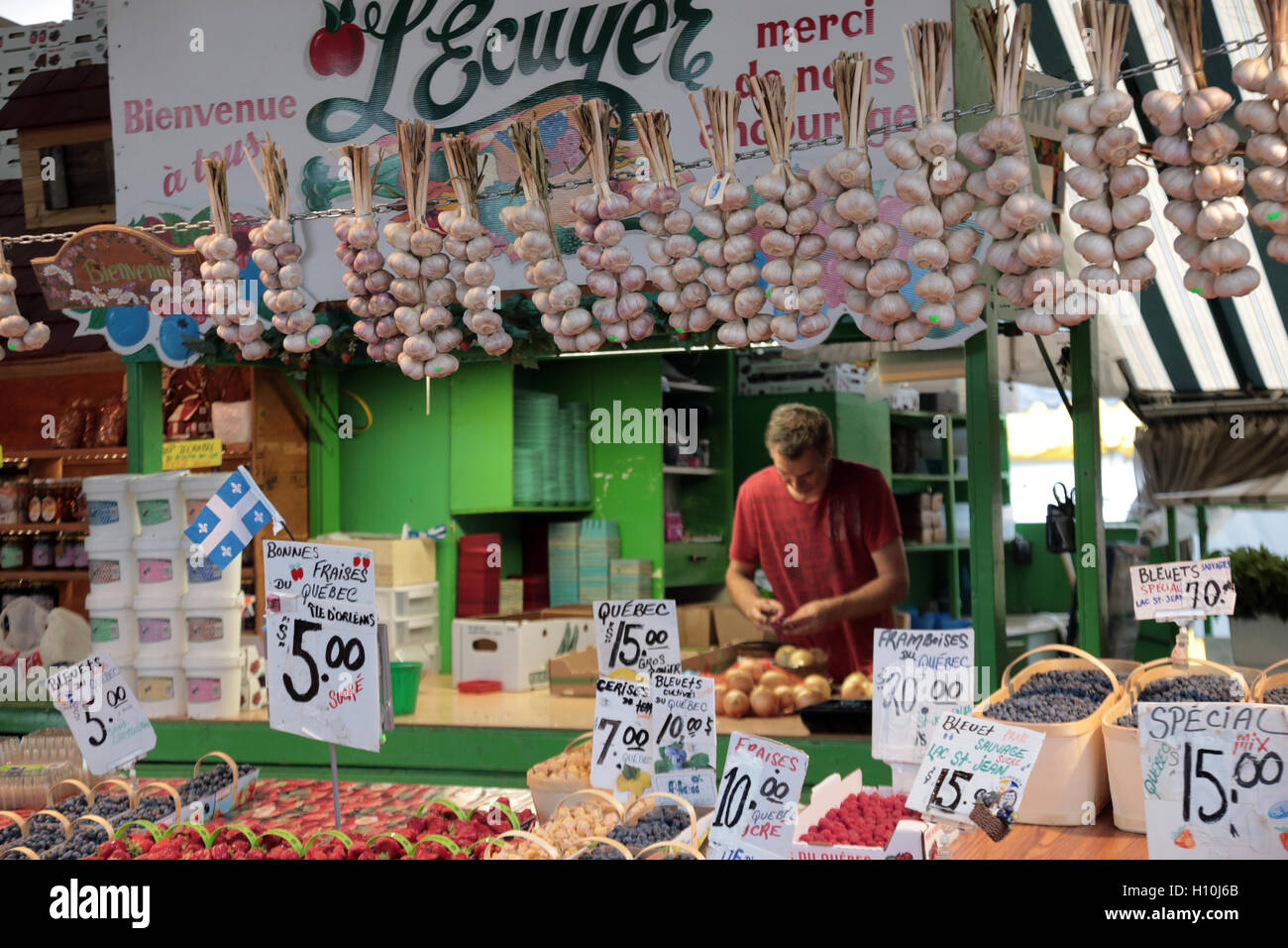 Produire au Marché Jean-Talon, Montréal, Canada Banque D'Images