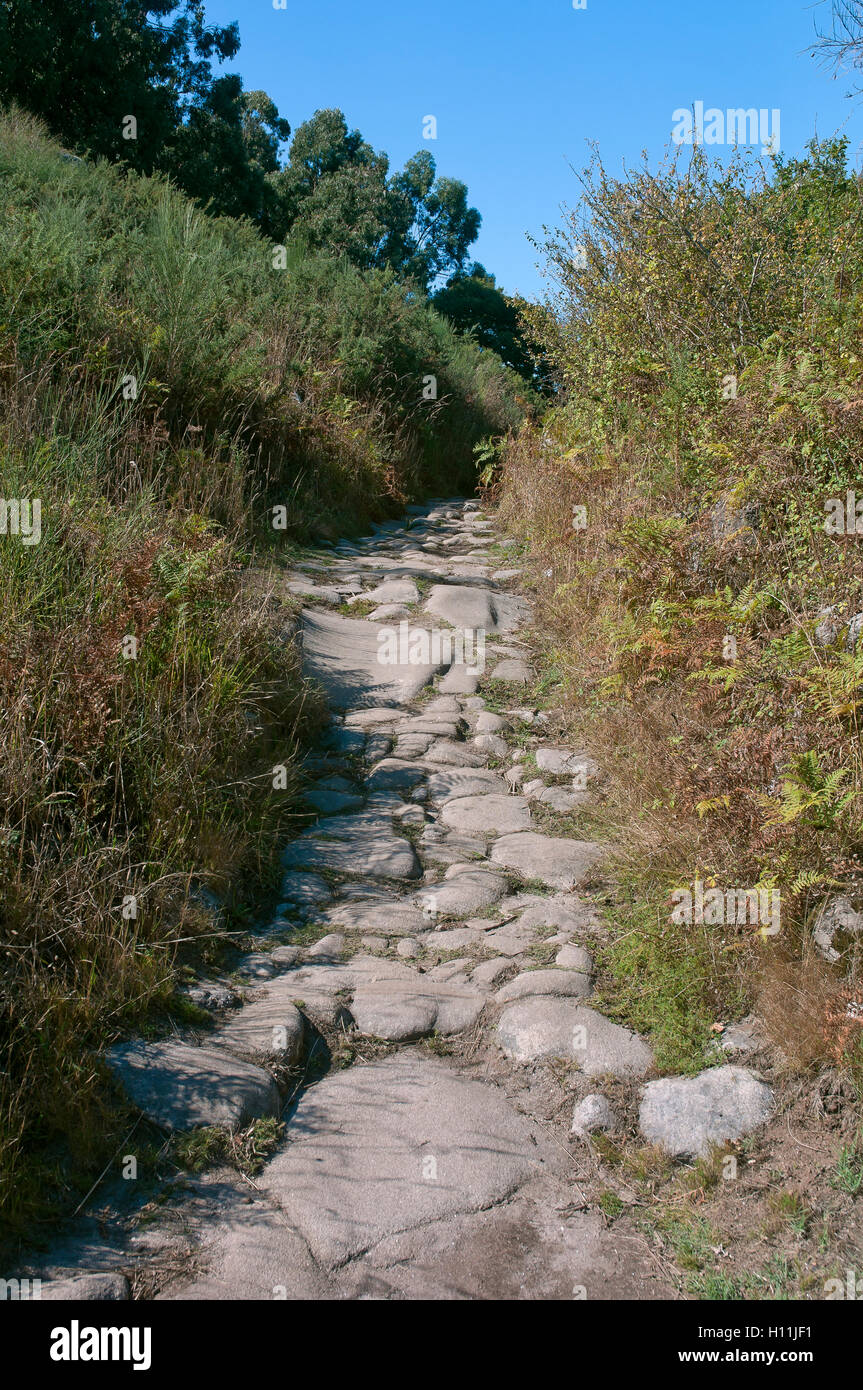 Voie romaine dans le Monte do Facho, Donon, Pontevedra province, région de Galice, Espagne, Europe Banque D'Images