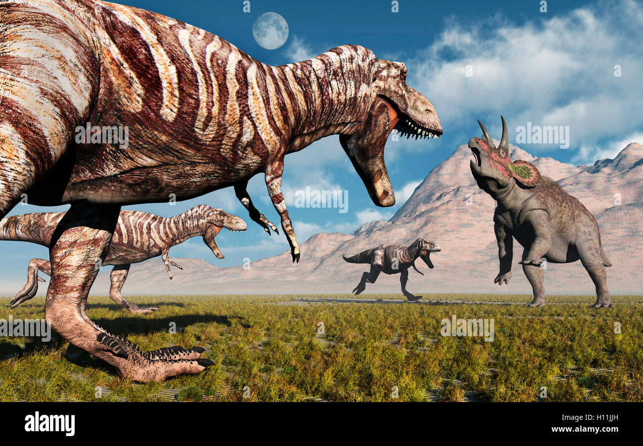 T Rex dinosaures carnivores Pack la chasse. Banque D'Images