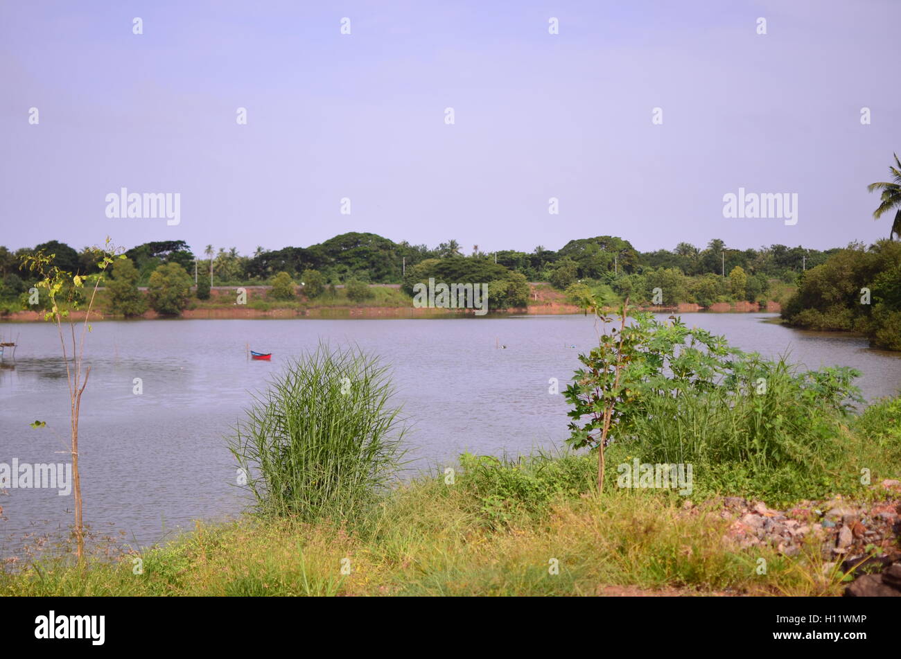 La beauté d'un petit lagon sur les rives de la rivière Netravati près de Ullal, Mangalore, Karnataka, Inde avec Coconut Palm Grove Banque D'Images