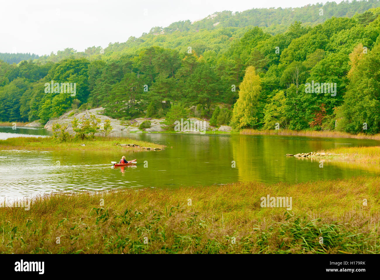 Sundsby, Suède - septembre 9, 2016 : documentaire Voyage de femme kayak sur les eaux tranquilles d'un boisé légèrement jour brumeux dans Banque D'Images