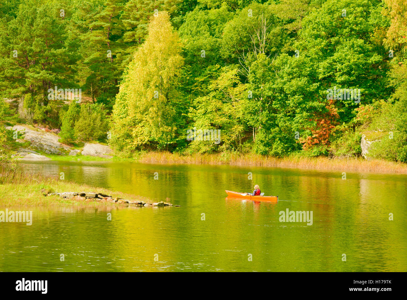 Sundsby, Suède - septembre 9, 2016 : documentaire Voyage de femme kayak sur les eaux tranquilles d'un boisé légèrement jour brumeux dans Banque D'Images