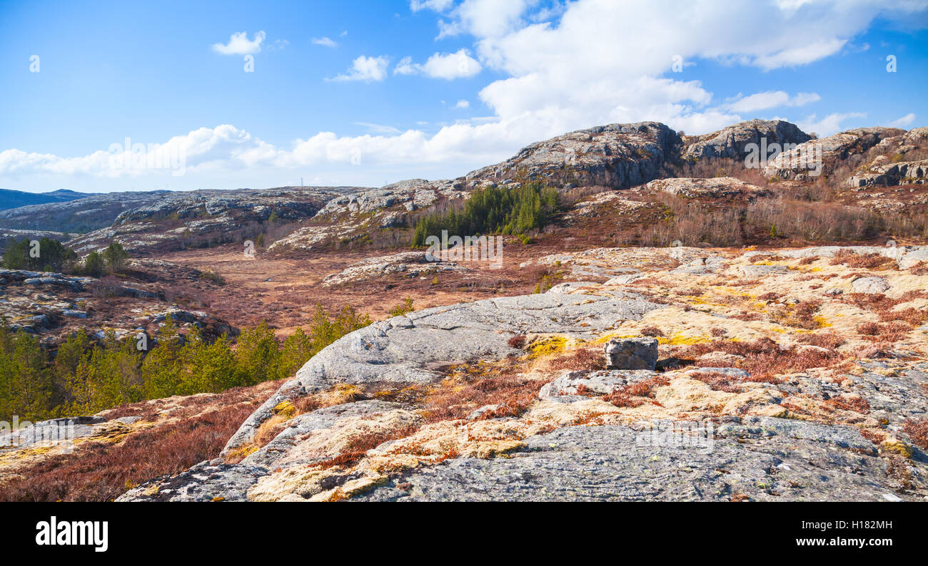 Le nord de la Norvège au printemps. Vue panoramique sur la montagne paysage avec des arbres poussant sur des rochers mousse rouge Banque D'Images
