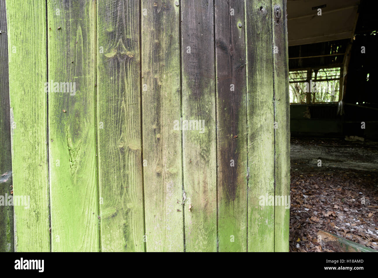 Le vieillissement de la vieille porte de bois recouvert de lichen et de la moisissure verte sur un bâtiment abandonné Banque D'Images