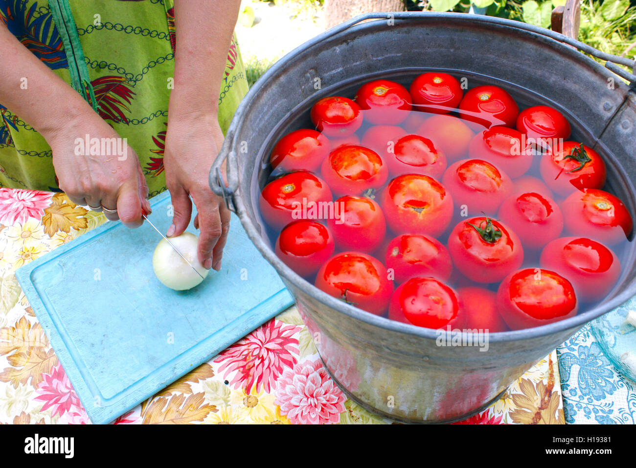 Tranches de femme pour la conservation du raifort tomates mûres lavées dans l'eau Banque D'Images