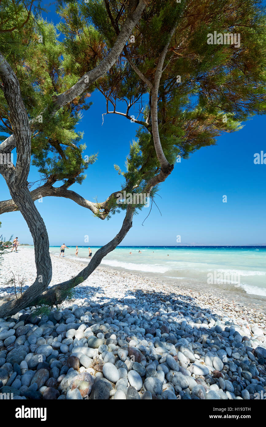 Scène de plage Rhodes Grèce Banque D'Images