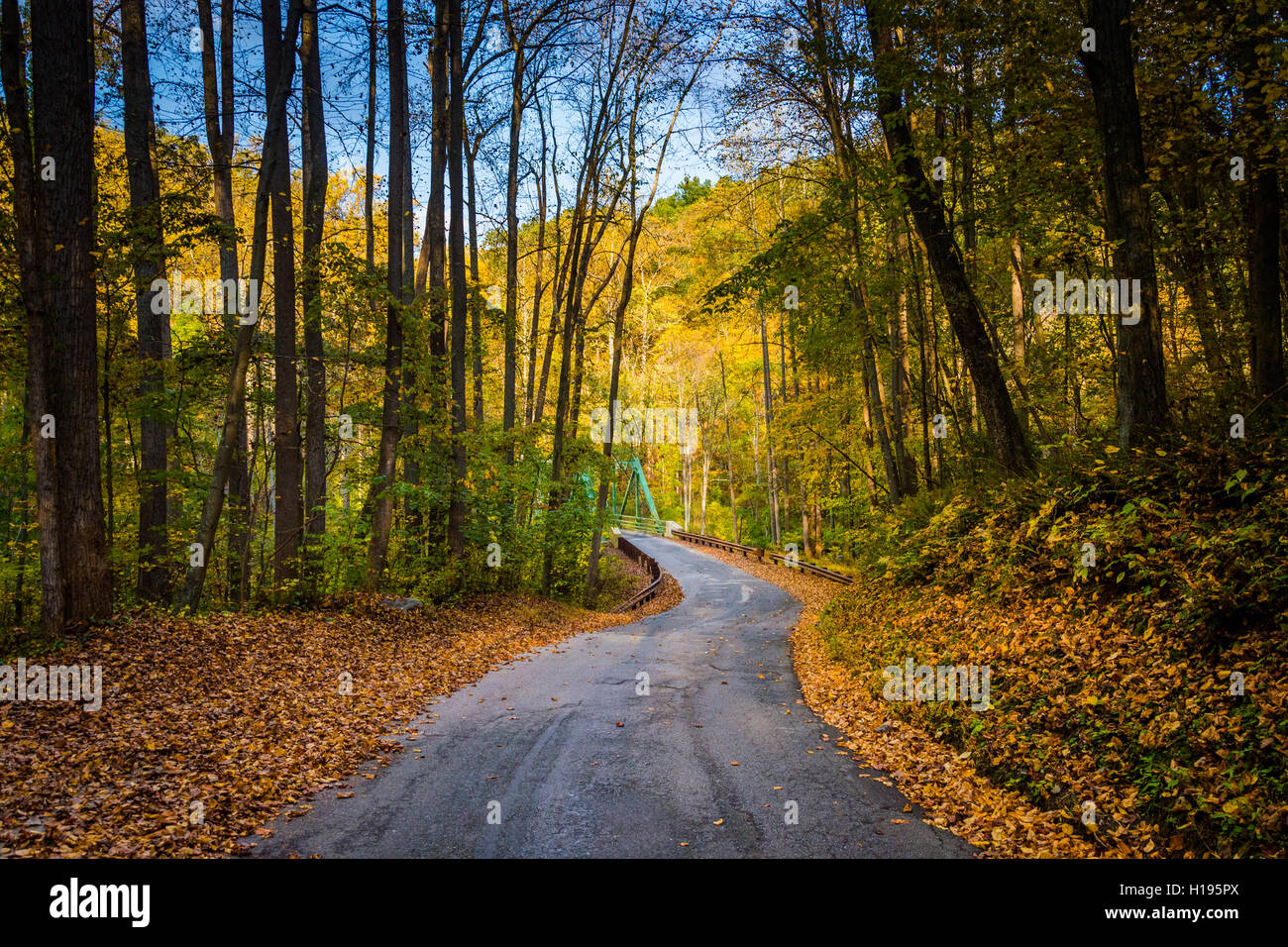 La couleur en automne et une route de campagne dans les régions rurales du comté de Baltimore, Maryland. Banque D'Images