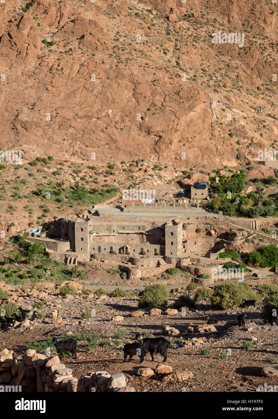 Gorges de Todra, le Maroc. L'Auberge le Festival. Banque D'Images