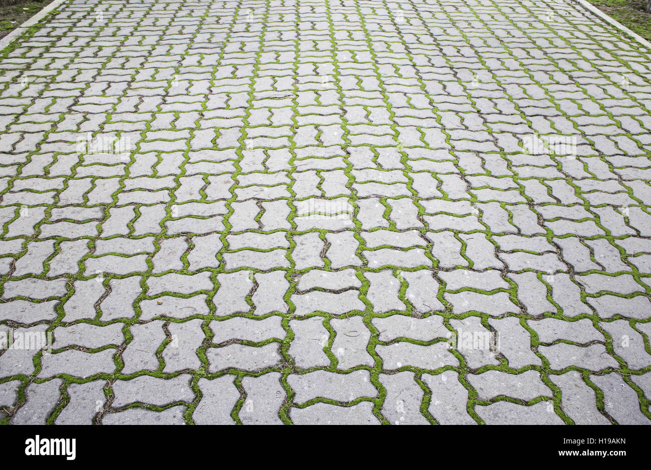 600x600 avec de la mousse et d'herbe en ville rue Banque D'Images