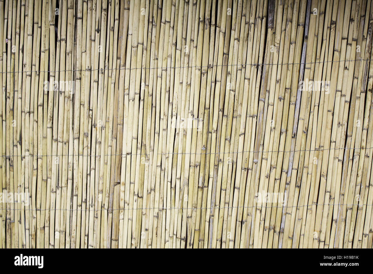 Bambou Panneau mur de la maison, de la construction Banque D'Images