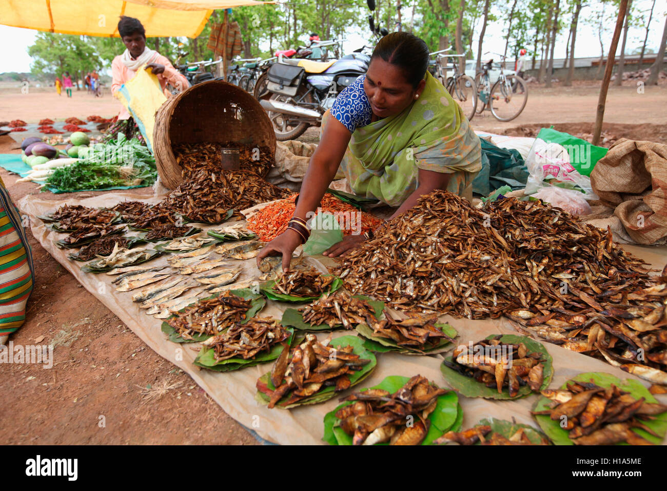 Femme vendant du poisson sec, Dhurwa, Pandripani Marché Tribal Village, Chattisgarh, Inde Banque D'Images