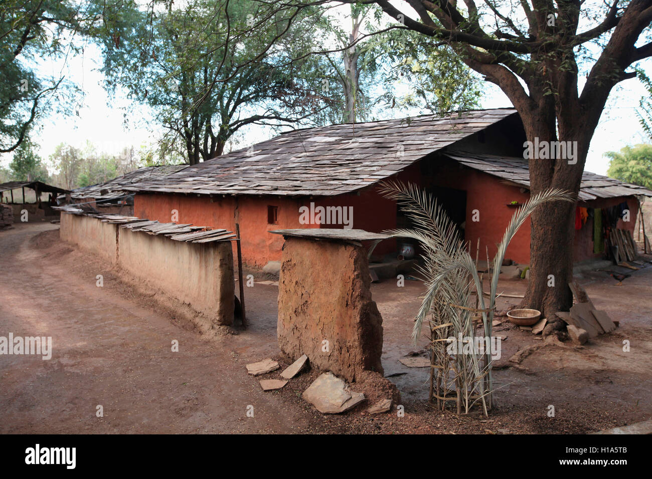 Tribal House, Dhurwa tribu, Village, Gonchapar Chattisgarh, Inde Banque D'Images