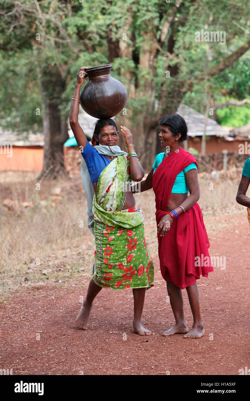 Les femmes tribales portant de l'eau des pots, dhurwa tribu, gonchapar, village de l'Inde, chattisgarh Banque D'Images