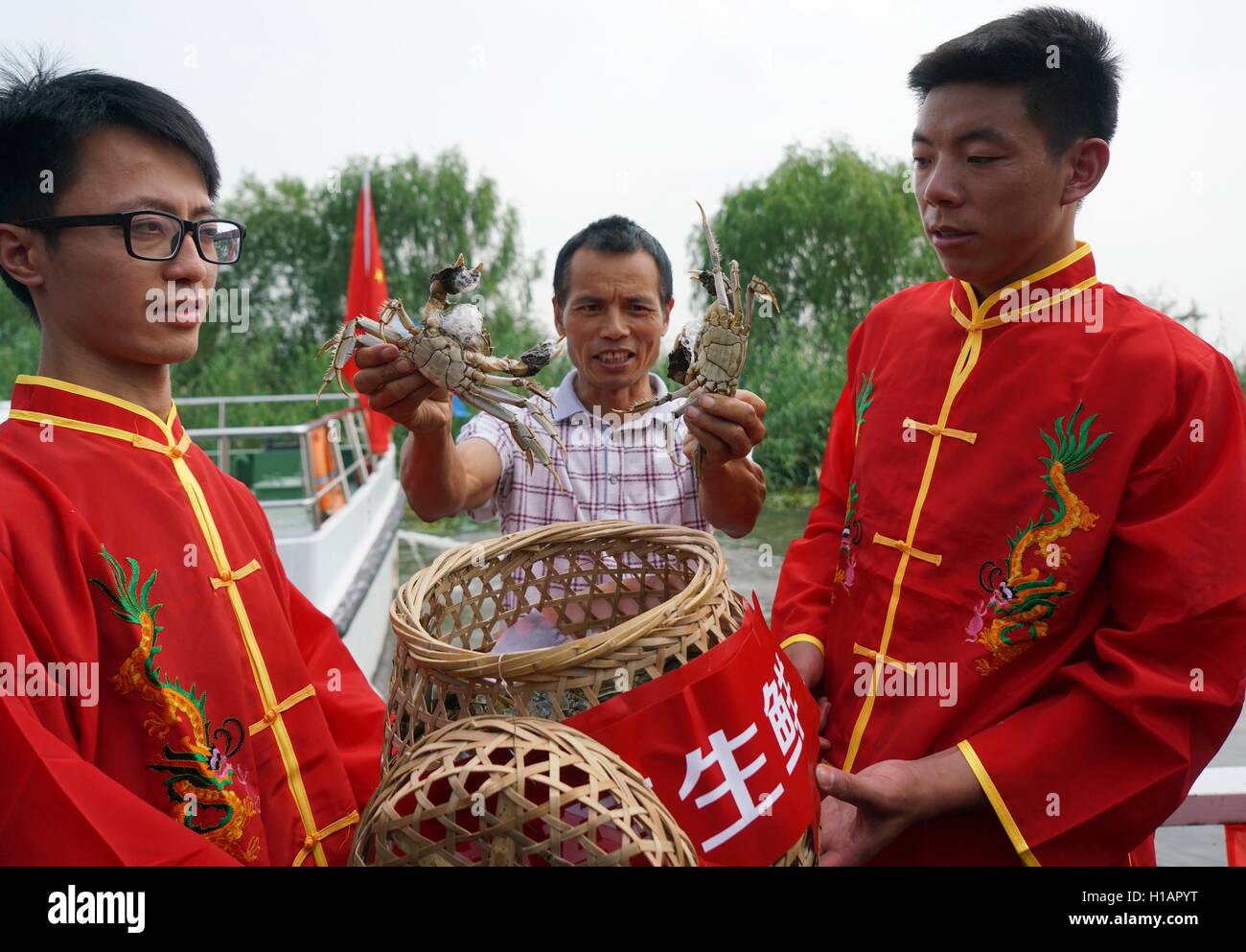 Suzhou, Province de Jiangsu en Chine. 29Th Sep 2016. Un pêcheur (C) démontre les crabes chinois sur le lac Yangcheng à Suzhou, Province de Jiangsu en Chine de l'Est, 23 septembre 2016. La saison de récolte 2016 pour le crabe chinois (Eriocheir sinensis) dans le lac Yangcheng, une importante région productrice a commencé le vendredi. Également connue sous le nom de crabe d'écluse, le crabe chinois sont favorisés par de nombreux amateurs de cuisine gastronomique. © Ji Chunpeng/Xinhua/Alamy Live News Banque D'Images