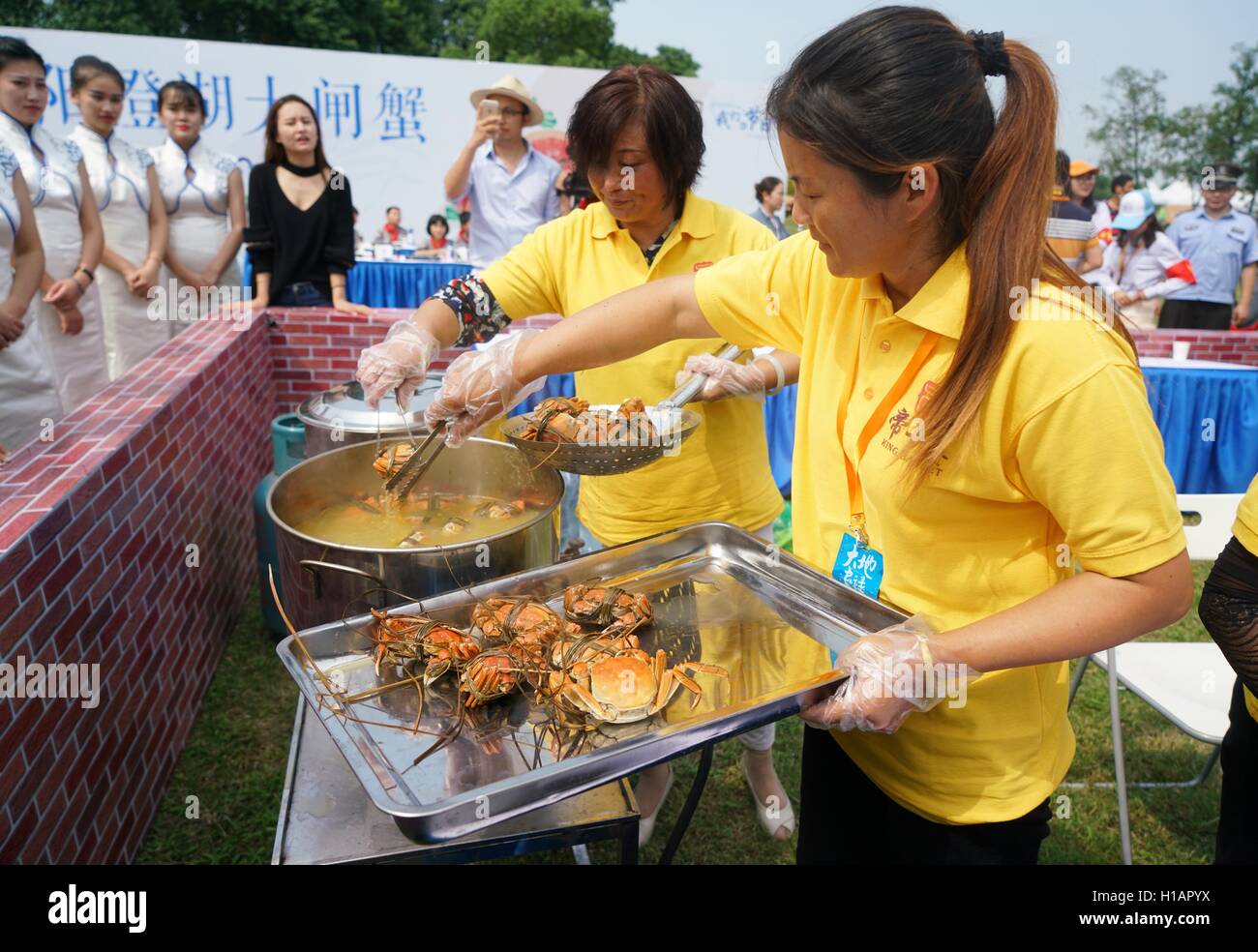 Suzhou, Province de Jiangsu en Chine. 29Th Sep 2016. Cuisinier Personnel crabes chinois au cours d'un festival de la récolte des crabes Yangcheng Lake dans la région de Suzhou, Province de Jiangsu, de l'est de la Chine, 23 septembre 2016. La saison de récolte 2016 pour le crabe chinois (Eriocheir sinensis) dans le lac Yangcheng, une importante région productrice a commencé le vendredi. Également connue sous le nom de crabe d'écluse, le crabe chinois sont favorisés par de nombreux amateurs de cuisine gastronomique. © Ji Chunpeng/Xinhua/Alamy Live News Banque D'Images