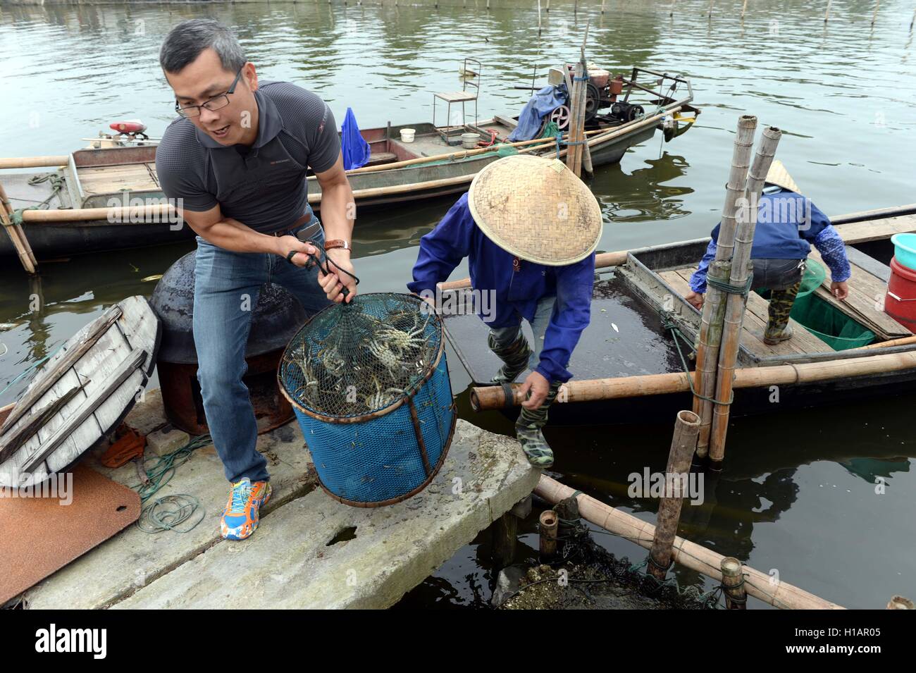 Suzhou. Sep 24, 2016. La récolte des pêcheurs de crabes chinois sur le lac Yangcheng à Suzhou, Province de Jiangsu en Chine de l'Est, 23 septembre 2016. La saison de récolte 2016 pour le crabe chinois (Eriocheir sinensis) dans le lac Yangcheng, une importante région productrice a commencé le vendredi. Également connue sous le nom de crabe d'écluse, le crabe chinois sont favorisés par de nombreux amateurs de cuisine gastronomique. © Xinhua/Alamy Live News Banque D'Images
