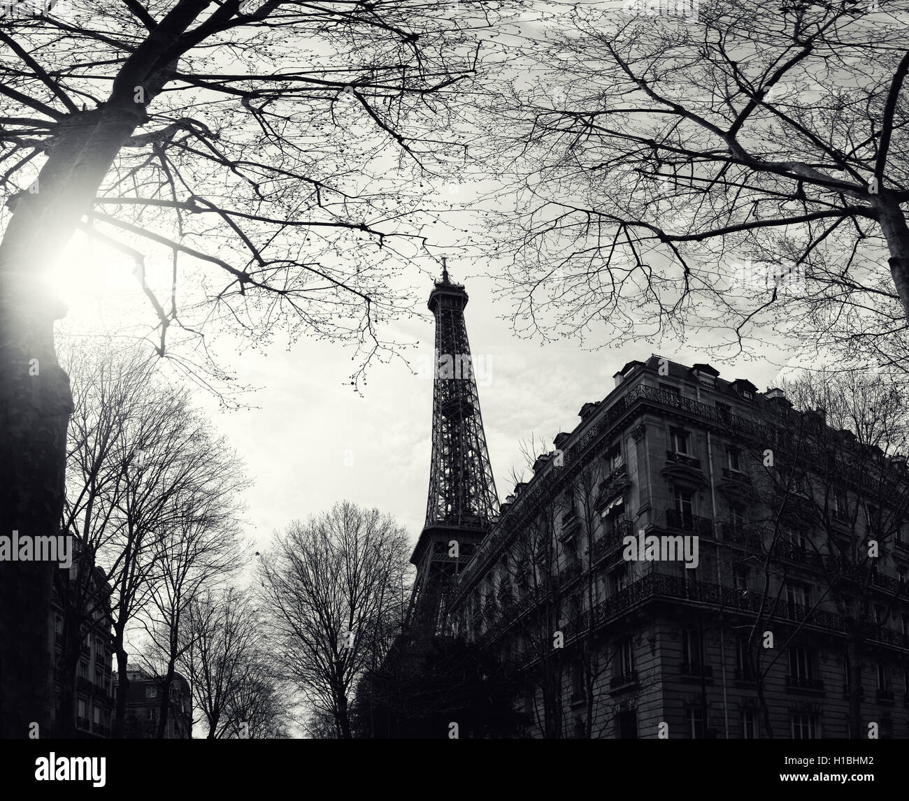 La Tour Eiffel dans la rue à Paris, France Banque D'Images