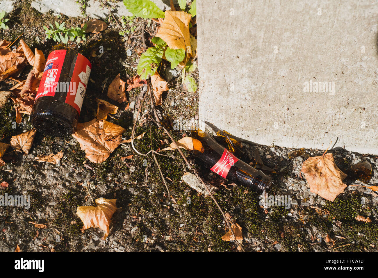 Une bouteille de bière Budweiser cassée Banque D'Images