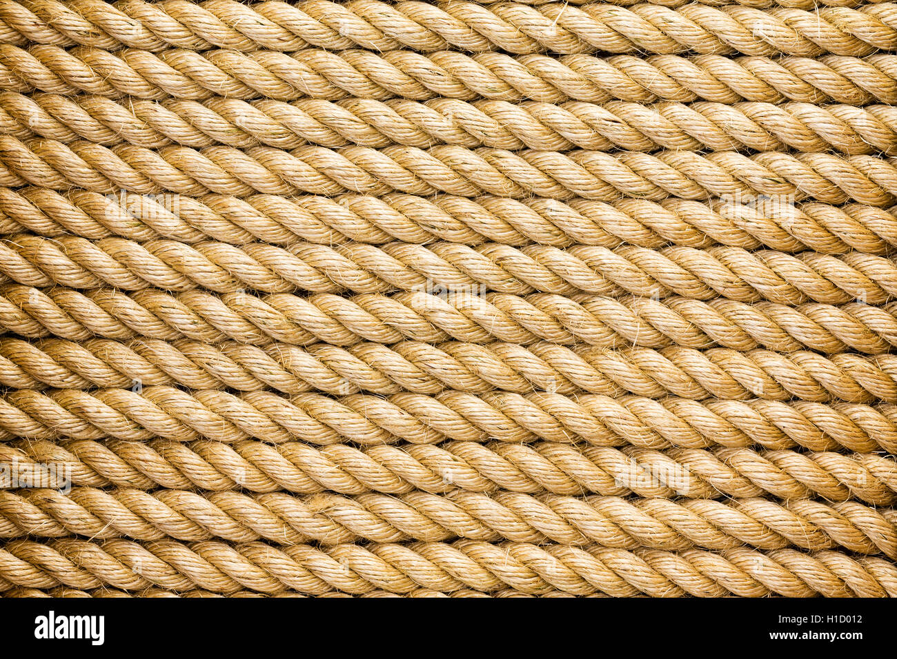 Ainsi organisés parallélisés d'une épaisse corde en fibre naturelle nouveau disposés horizontalement dans un châssis complet texture background Banque D'Images