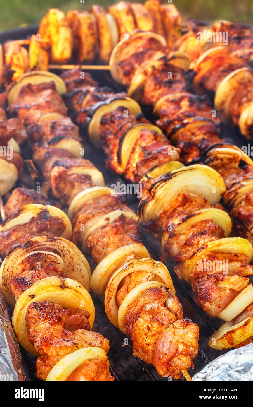Close up photo d'une brochettes de viande avec des oignons, jardin barbecue, selective focus. Banque D'Images