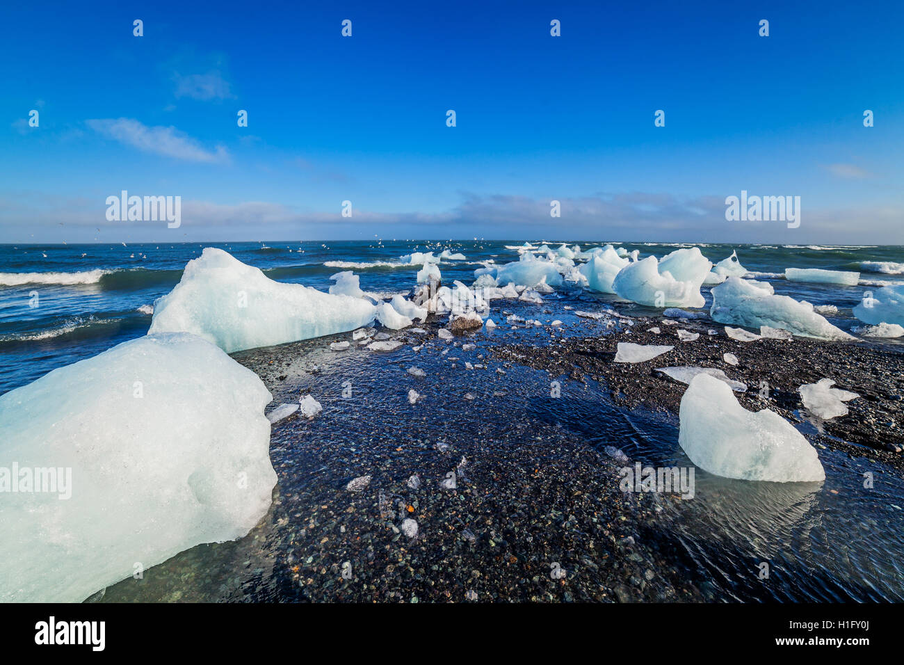 Blocs de glace sur une plage de sable. Banque D'Images