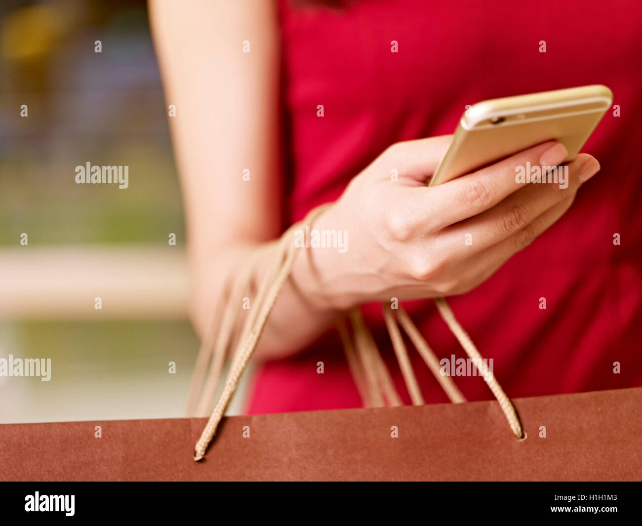 Part of a young woman carrying shopping bags using cellphone Banque D'Images