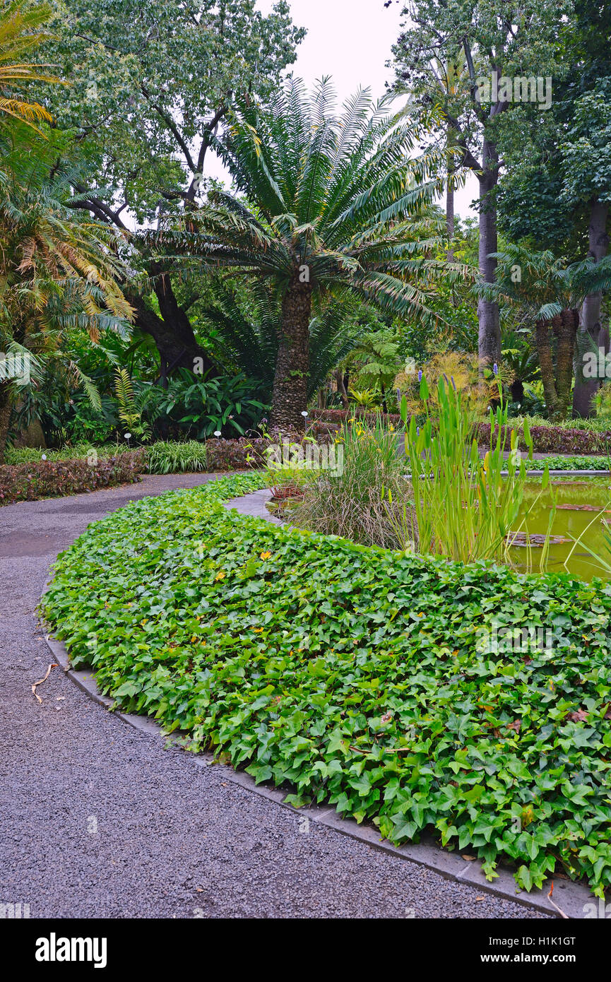 Botanischer Garten, Teneriffa Kanarische Inseln, Spanien Banque D'Images