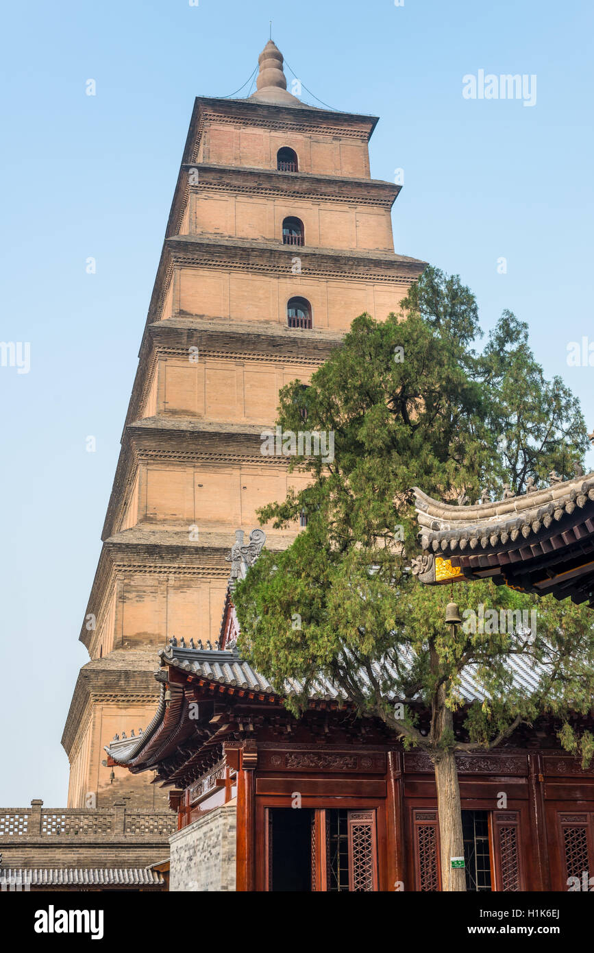 Giant Wild Goose Pagoda ou la Grande Pagode de l'Oie Sauvage, est une pagode bouddhiste de Xi'an, province du Shaanxi, en Chine. Banque D'Images
