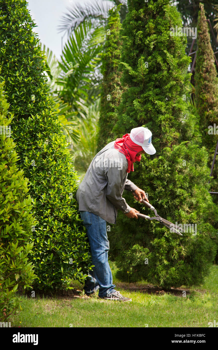 Jardinier, clipping travailleurs hedges et arbres, forme. Topiaire arbre à Suan Nong Nooch Tropical Botanical Garden ou NongNooch Resort, Pattaya, Thaïlande Banque D'Images
