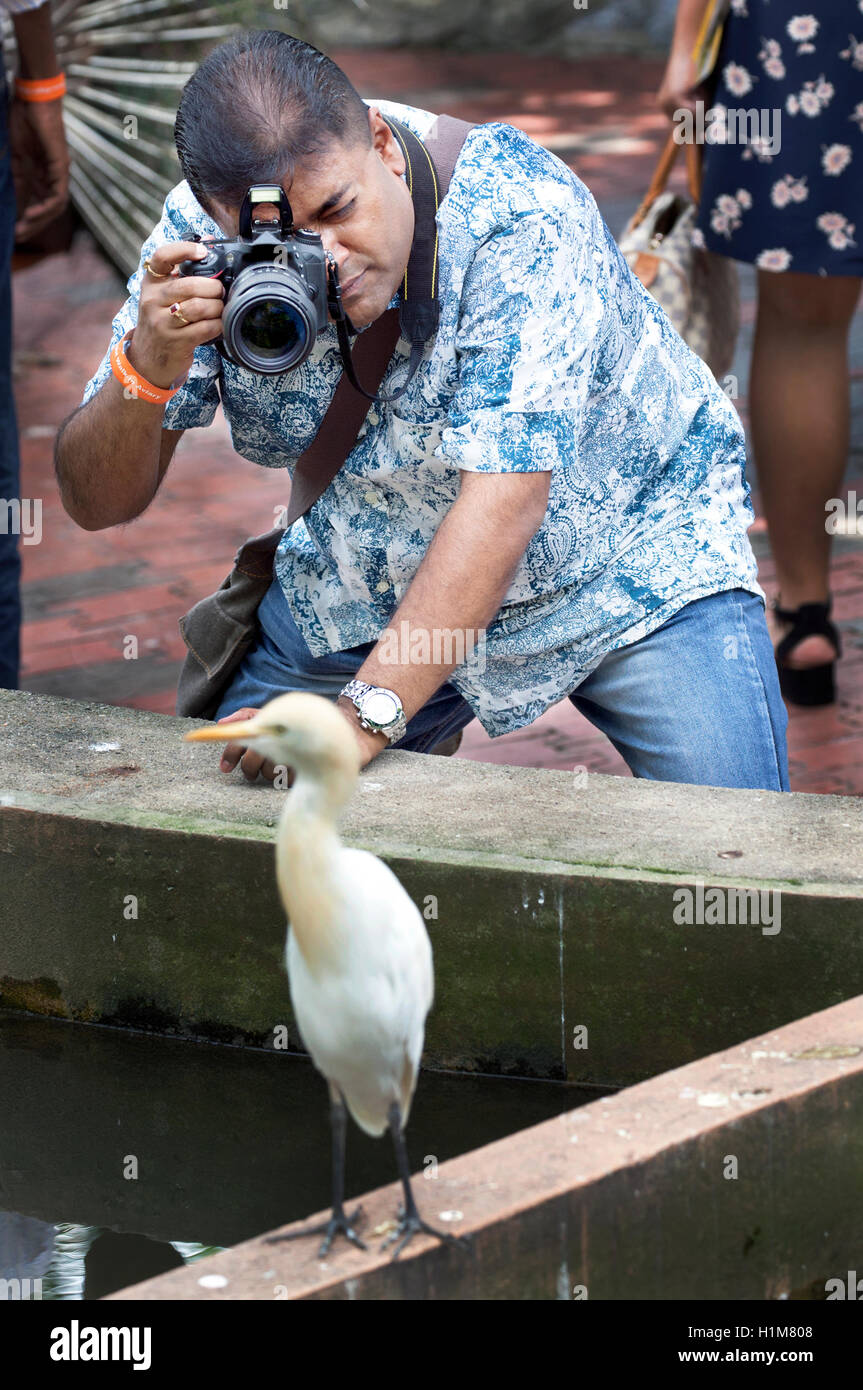 Un homme utilise son appareil photo DSLR touristiques pour photographier un oiseau au KL Bird Park à Kuala Lumpur, Malaisie, Asie du sud-est. Banque D'Images