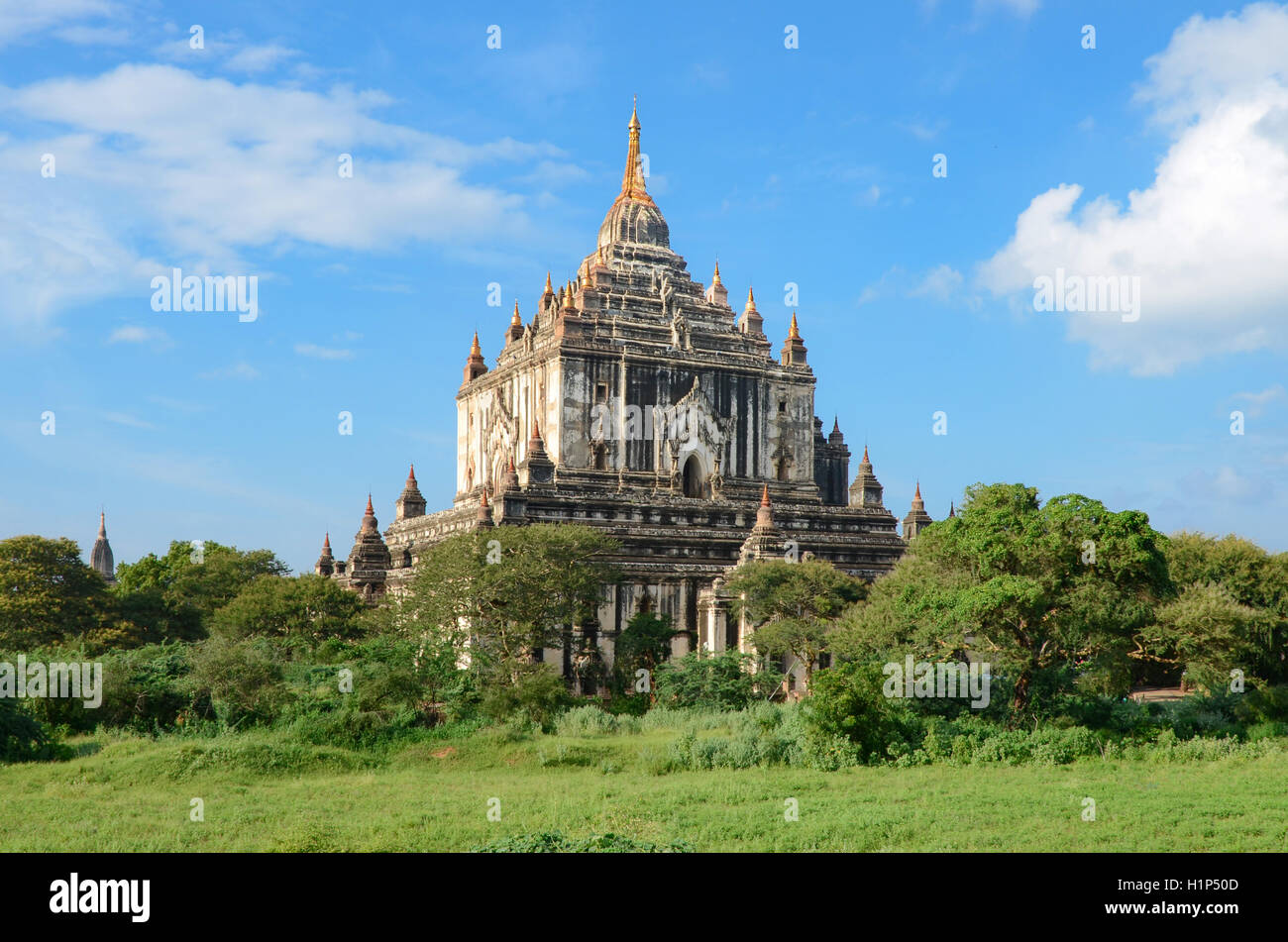 Temple Thatbyinnyu, Sabbannu ou l'Omniscient, est un célèbre temple situé dans la région de Bagan, Myanmar. Banque D'Images